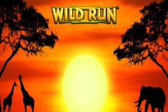 Wild Run